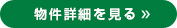詳細を見る